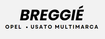 Logo Breggie Srl